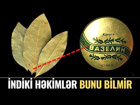 Video: Ağcaqayın yarpaqlarını necə saxlamaq və istifadə etmək olar?