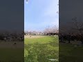 【夫婦】で近所の公園でお花見🤗2025.4.5 #Wife and husband#夫婦#Cherry Blossom Viewing#お花見insta360#capcut