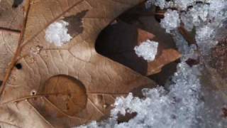 Winter at Cherry Valley Manor