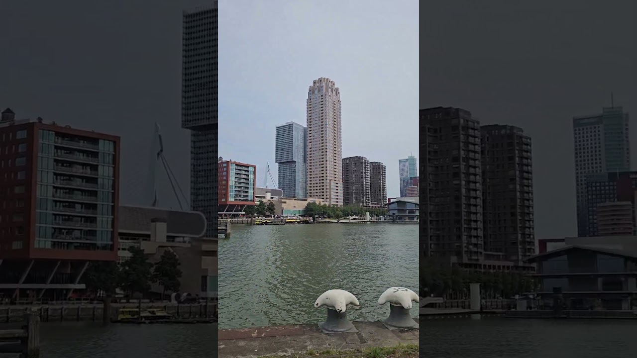 Rotterdam Skyline 