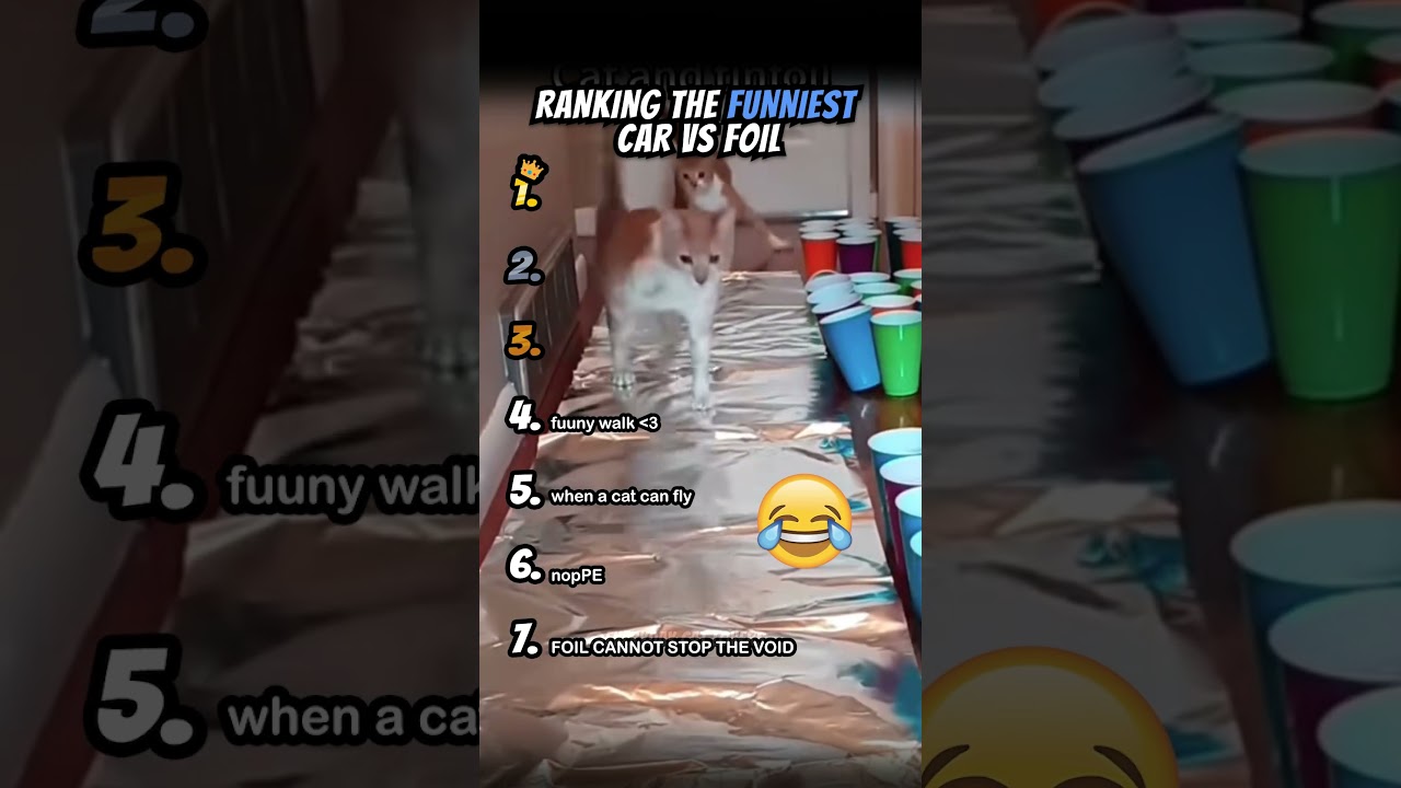 Ranking Funniest Cats Vs Foil Part 2 #shorts #catshort #catrank #ranking