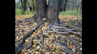 Why is water important - An inquiry by the Fantastic13s.wmv