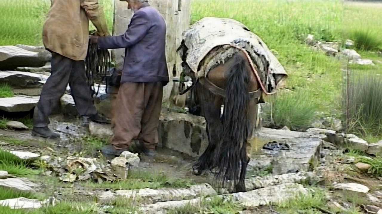 Dersim 1999: Her Şeyin Doğal ve Güzel Olduğu Zaman