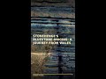 Stonehenge's Bluestone Origins: A Journey From Wales #Shorts