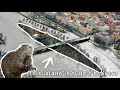 🇨🇿 Střelecký Ostrov | Prague&#39;s beaver island 🦫