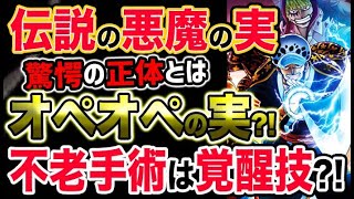 動画 ワンピース ネタバレ予想 伝説の悪魔の実の正体はオペオペの実 不老手術は覚醒技だった 予想考察 動画でマンガ考察 ネタバレや考察 伏線 最新話の予想 感想集めました