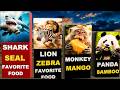 Animal Favourite Food: What Do They Actually Eat? | You Never Knew Their Diet