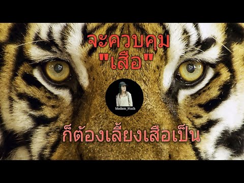 ถ้ามีลูกน้องเก่งเหมือนเสือ คุณต้องเลี้ยงเสือเป็น