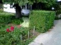 Xeriscaping Ideas Small Backyard Grill