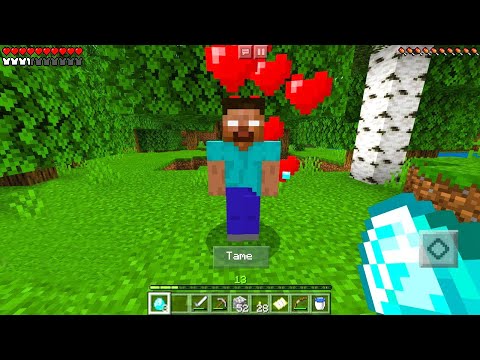 HEROBRİNE İLE NASIL ARKADAŞ OLUNUR? - Herobrine Survival #4