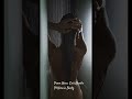 From Here: Erii Kambe Ft. Hervis Beatz #love #couple #duet #global #cochella #america