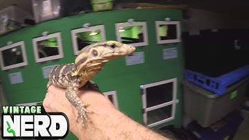 Part #3, Simple set-up, Unpacking and interaction with your new NERD Monitor (3 of 4)