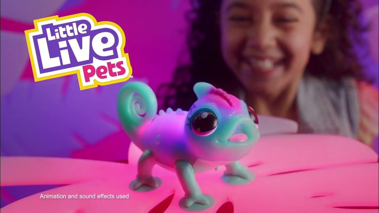 Little Live Pets | Bright Light Chameleon | 6" - YouTube