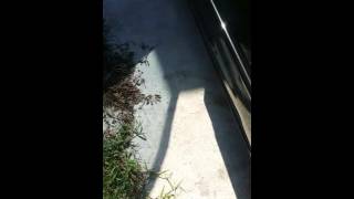 Turbo Mazda protege misfire