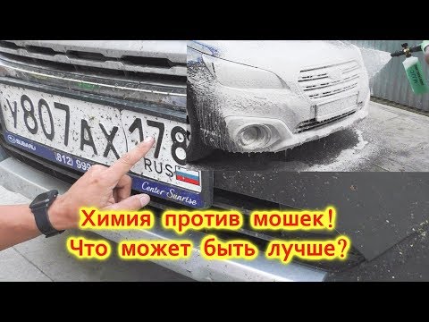 Химия отлично справляется с мошкарой на авто