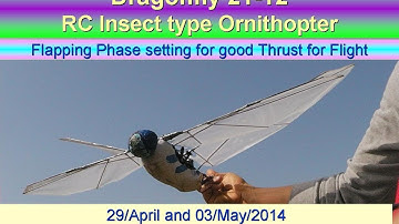 Dragonfly21-12 : Flapping Phase setting for good Thrust for Flight