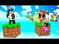 PROVA A NON RIDERE NELLA BIG SKYBLOCK! - MINECRAFT Ep.4