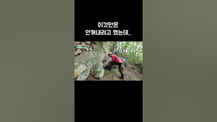 자식같은 꿀벌 납치해가는 말벌 보자 무언가 냅다 휘두르는 벌 엄마 #골라듄다큐 #shorts