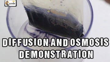 Diffusion and Osmosis | Iodine starch experiment with bag | Science Experiments | elearnin