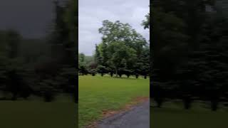 Hobbyzone Sport Cub S2 #rc #rcplane #aviation #hobby #bushplane (cruising after the rain) Hobbyzone Sport Cub S2 #rc #rcplane #aviation #hobby #bushplane (cruising after the rain)