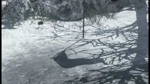 Black Ops - How to Easily Defend A in Domination on Array