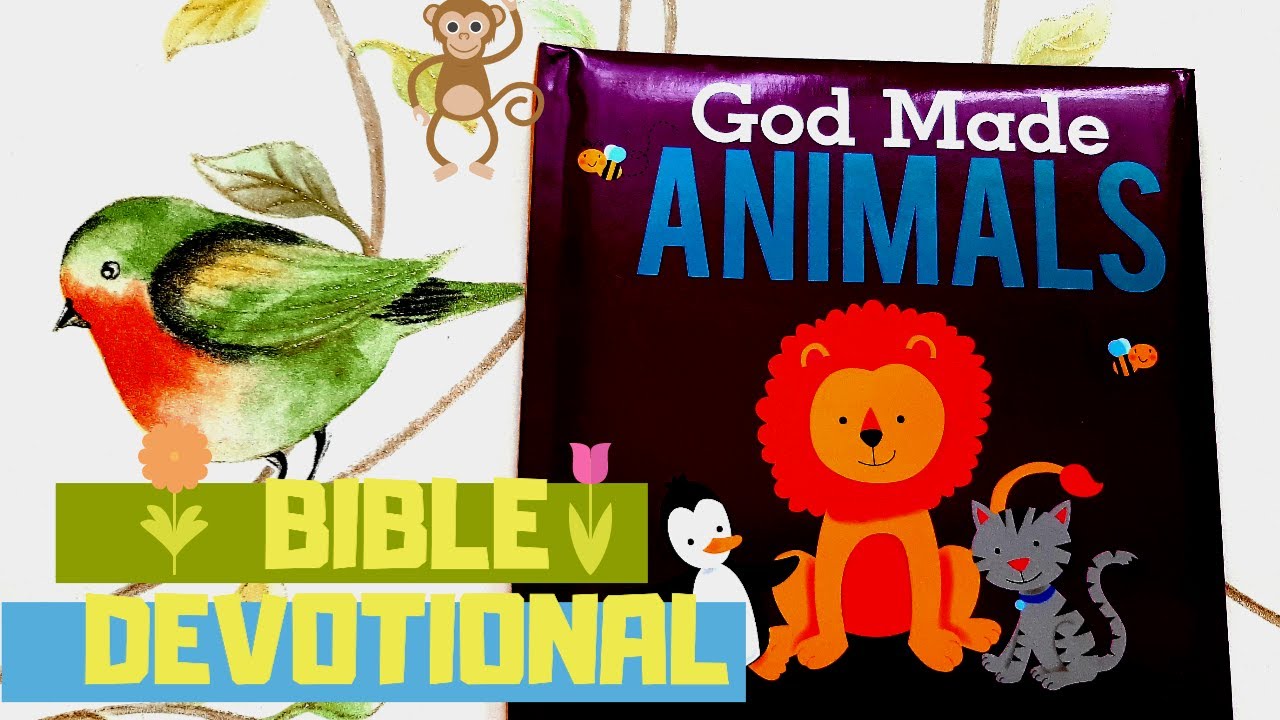 Children's Devotional GOD MADE ANIMALS YouTube