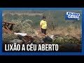 Terreno em lote vago tem atraído animais peçonhentos e trazido dor de cabeça para moradores vizinhos