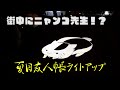 街中にニャンコ先生！？人吉市で開催中の夏目友人帳影絵ライトアップに行ってきました！#人吉 #夏目友人帳 #人吉市 #人吉球磨