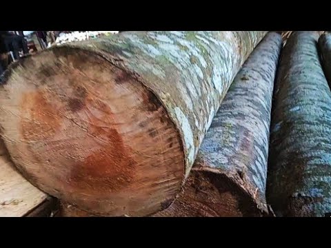 why is this metal in wood.