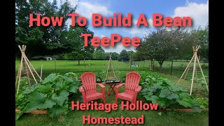 How to build a bean teepee!