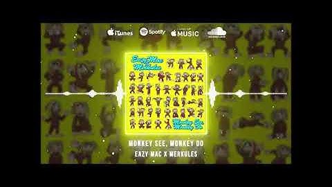 Merkules & Eazy Mac - Monkey See Monkey Do 432hz 11
