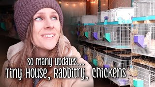 So many updates... Tiny House, Rabbitry, Chickens, and more!