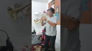 Download Lagu Arabic song trumpet  #shortvideo #music #trend #tiktok #trumpet MP3 Download Lagu Arabic song trumpet  #shortvideo #music #trend #tiktok #trumpet MP3
