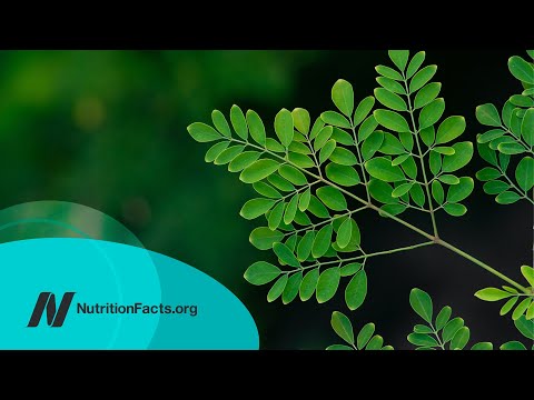 The Benefits of Moringa: Is It the Most Nutritious Food?