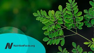 The Benefits of Moringa: Is It the Most Nutritious Food