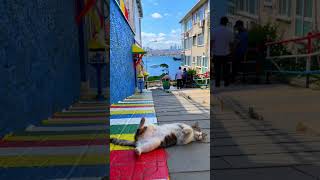 Abi Sıcaktır Geldik Bura