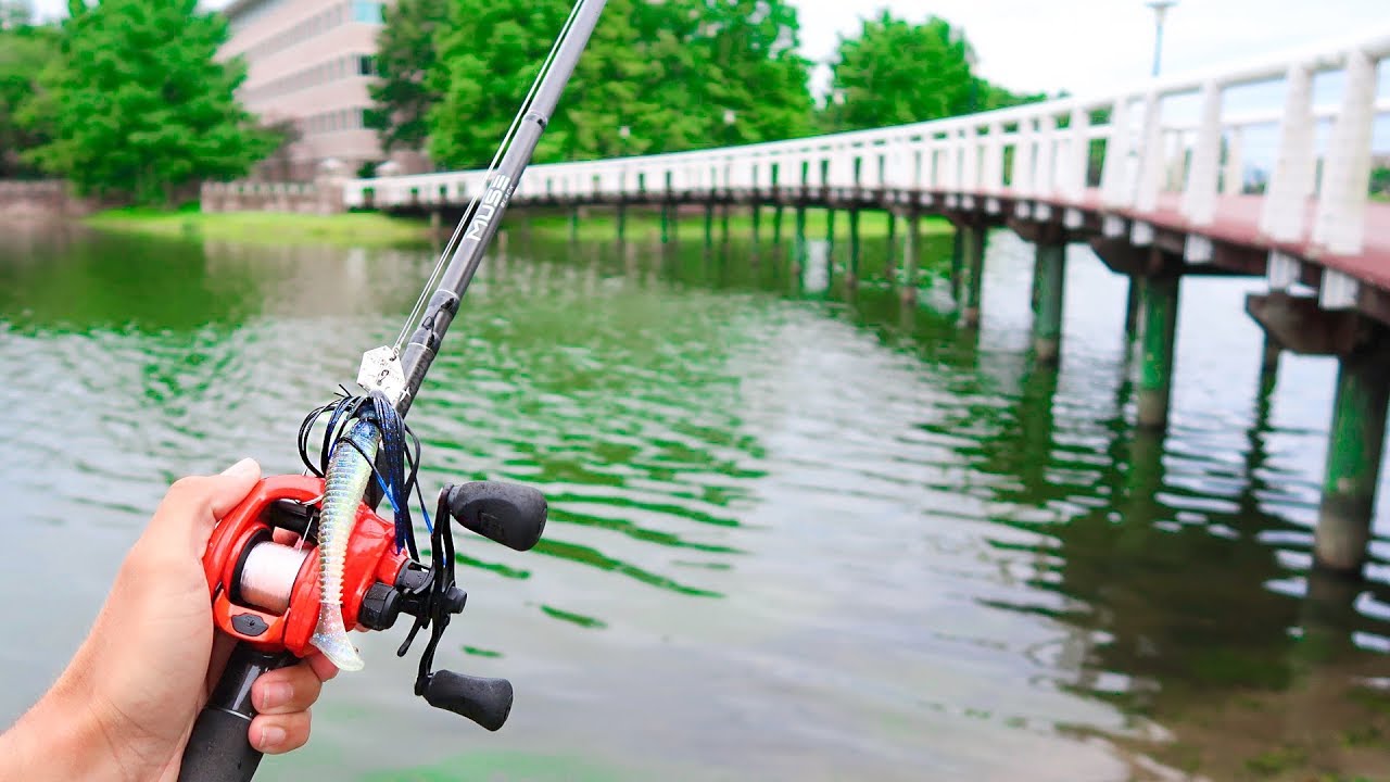 Catching GIANT Bass While POND Fishing 