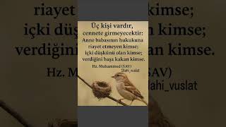 Güzel Anlamlı Sözler Abone Olup Beğeni Yorum Yapar Mısın Beni Öneçıkart