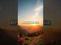 Morning Affirmations for Daily Positivity Boost