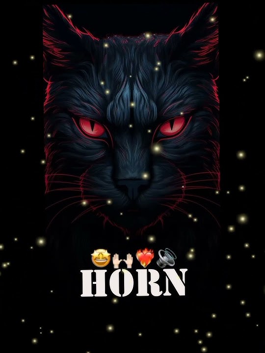 🙉BIRD HORN COMPETITION 📢|HORN|HIGH GAIN SONG|#competition #music #trending #unreleasedsongs