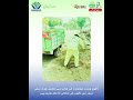 "Daewoo Waste Management Continues Drain Cleaning in Tehsil Chok Sakhi Sarwar"