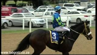 20150811 Greyville Race 7 won by GOLDEN MIRABILIS