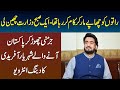 I Was Enjoying Life in Germany - Rat ko Chapay Mar Raha Tha Subha Ministry Le Li - Shehryar Afridi