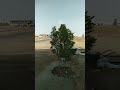 حياه بلا روح