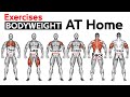 Full Body HOME Bodyweight  WORKOUT (squats, chest ,triceps, biceps , back, shoulder )
