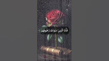 القران الكريم راحة نفسيه 😌🌹