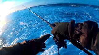 Seabass  fishing , pêche aux loups !!