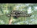 Береги животных