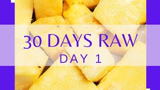 Day 1 - 🍍🫐What I Ate Raw Vegan For 30 Days