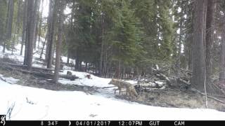 IMG 0043 IMG 0043